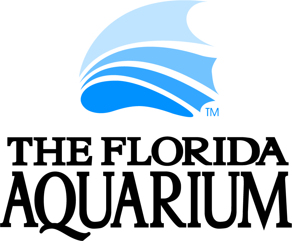 7938057-logo